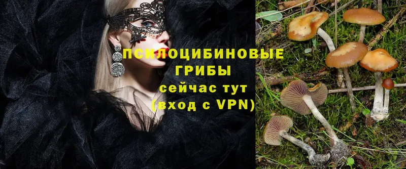 Псилоцибиновые грибы Magic Shrooms  Кимры 